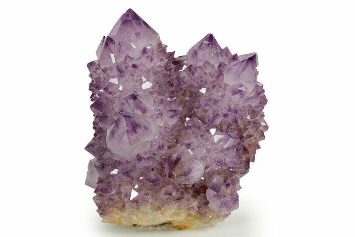 Deep-Purple Cactus Amethyst Crystal Cluster - South Africa #364608